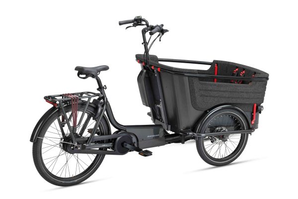 Batavus Fier 3 - Afbeelding 2