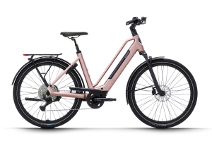 Dutch ID Maze Derailleur.